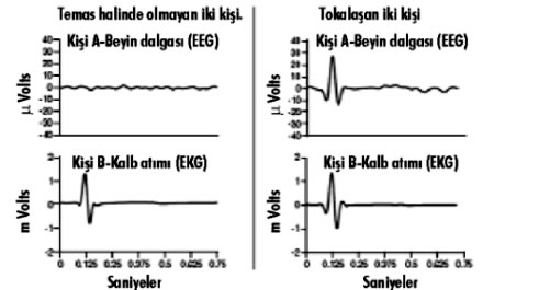 http://www.sizinti.com.tr/images/konular/304/sekil3.jpg