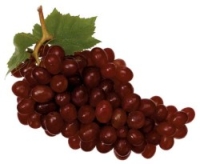 img143/1382/uzumim9.jpg