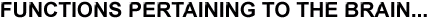 brainb.gif (2572 bytes)
